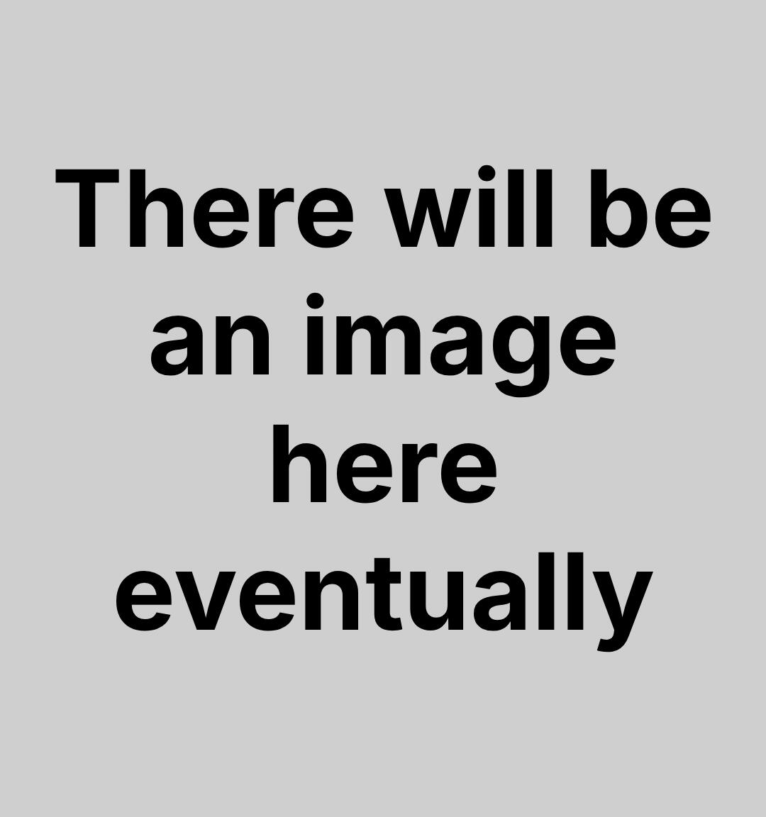 A placeholder image that reads "There will be an image here eventually."