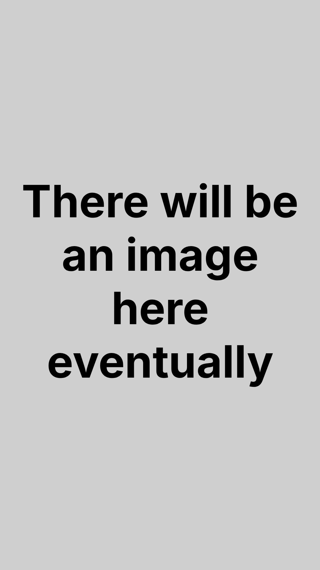Placeholder A placeholder image that reads "There will be an image here eventually."